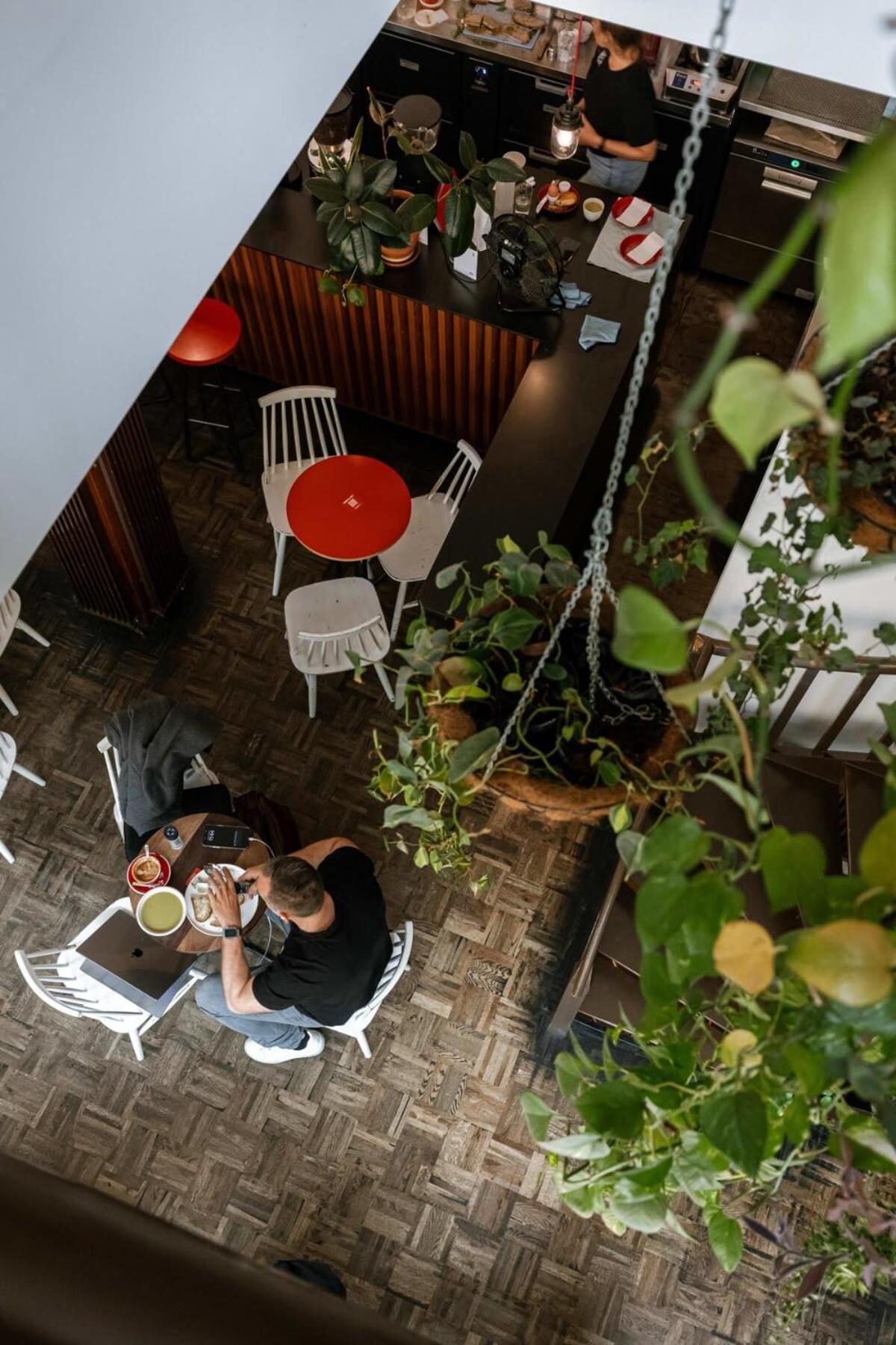 Huswell - The Jungle' In The Heart Of Apartment